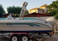 Vendo barco Gaia 220 y remolque... ANUNCIOS Buenanuncios.es